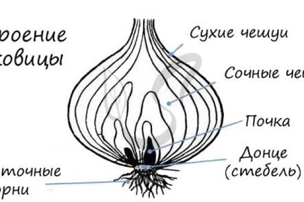 Актуальный домен кракена